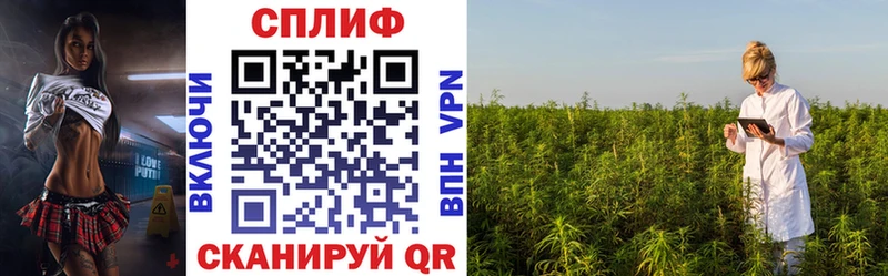 Купить наркотик аптеки Бородино Гашиш Кетамин Альфа ПВП кракен как зайти Каннабис МЕФ