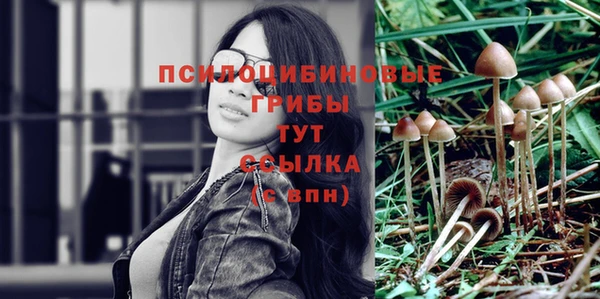 спайс Беломорск