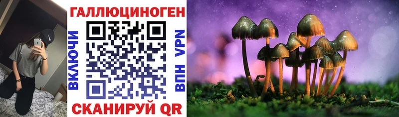 Псилоцибиновые грибы MAGIC MUSHROOMS  хочу   Бородино 